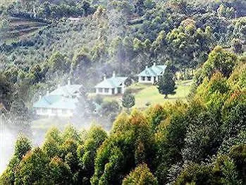 Camp Noel Ξενοδοχείο Munnar
